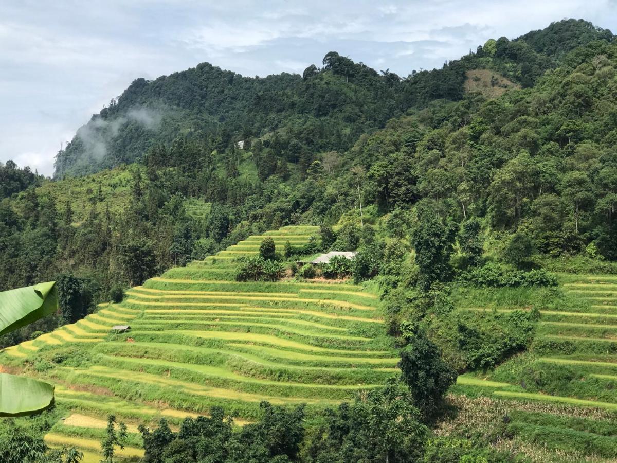 So H'Mong Homestay Bac Ha  Ngoại thất bức ảnh
