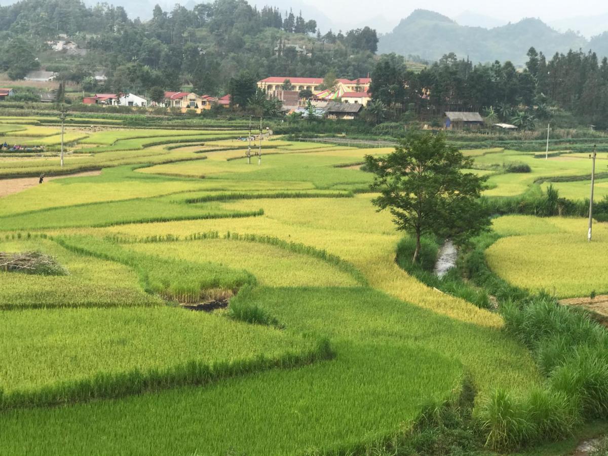 So H'Mong Homestay Bac Ha  Ngoại thất bức ảnh