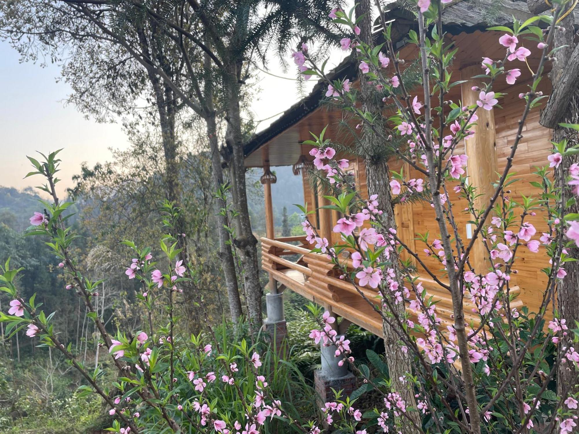 So H'Mong Homestay Bac Ha  Ngoại thất bức ảnh