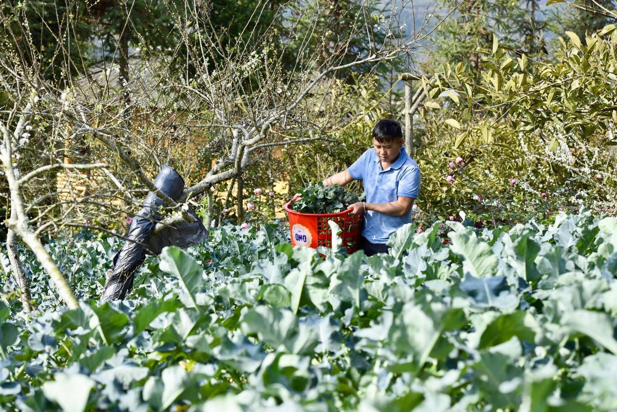 So H'Mong Homestay Bac Ha  Ngoại thất bức ảnh