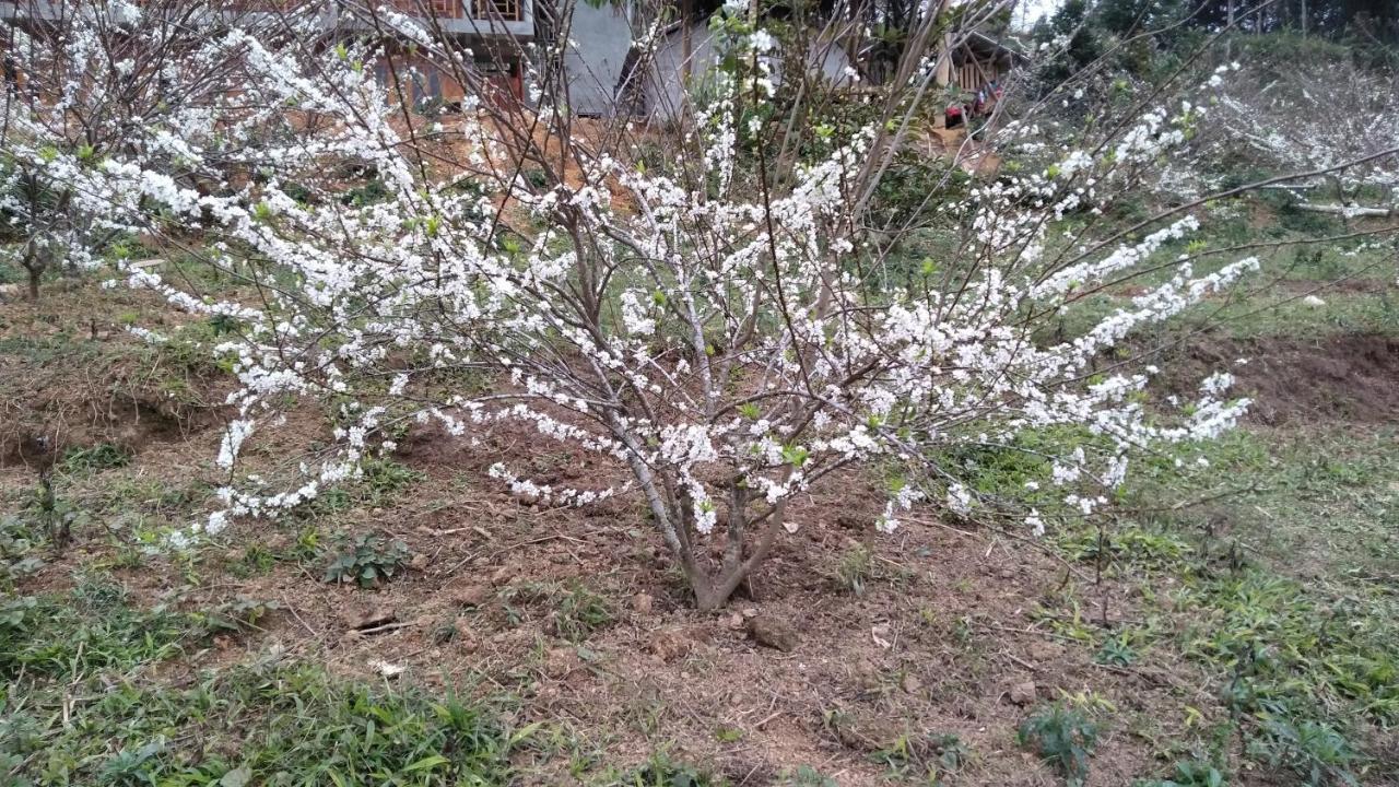 So H'Mong Homestay Bac Ha  Ngoại thất bức ảnh